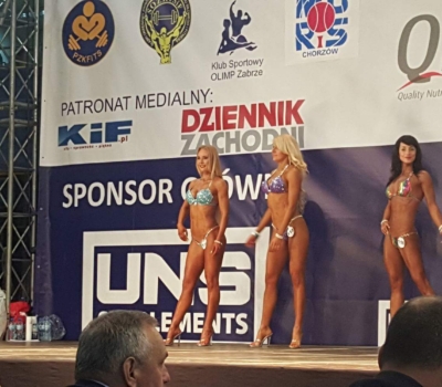Mistrzostwa Śląska w Kulturystyce i Fitness, kategoria Bikini Fitness do 166 cm (Chorzów, kwiecień 2016) Mistrzostwa Śląska w Kulturystyce i Fitness, kategoria Bikini Fitness do 166 cm (Chorzów, kwiecień 2016)